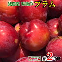 7月上旬〜中旬　大石早生　プラム すもも 長野県産 2キロ レビューを書いたら200円クーポン - Su-eat Farm Obuse