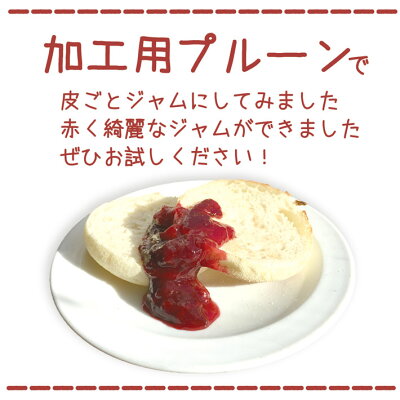 ご予約受付中加工用生プルーン減農薬長野県産3キロ生食には向きません