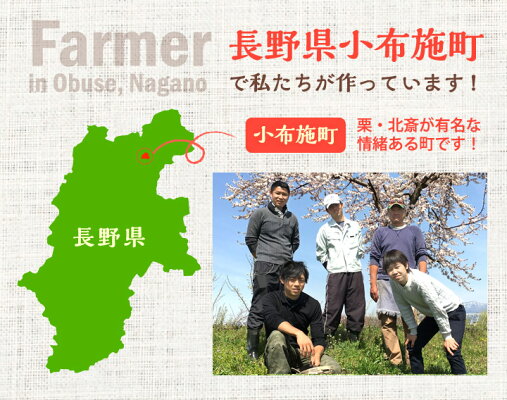 加工用生プルーン減農薬長野県産3キロ生食には向きません