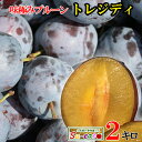 7月下旬〜8月上旬 生プルーン トレジティ 長野県産 2キロ レビューを書いたら200円クーポン