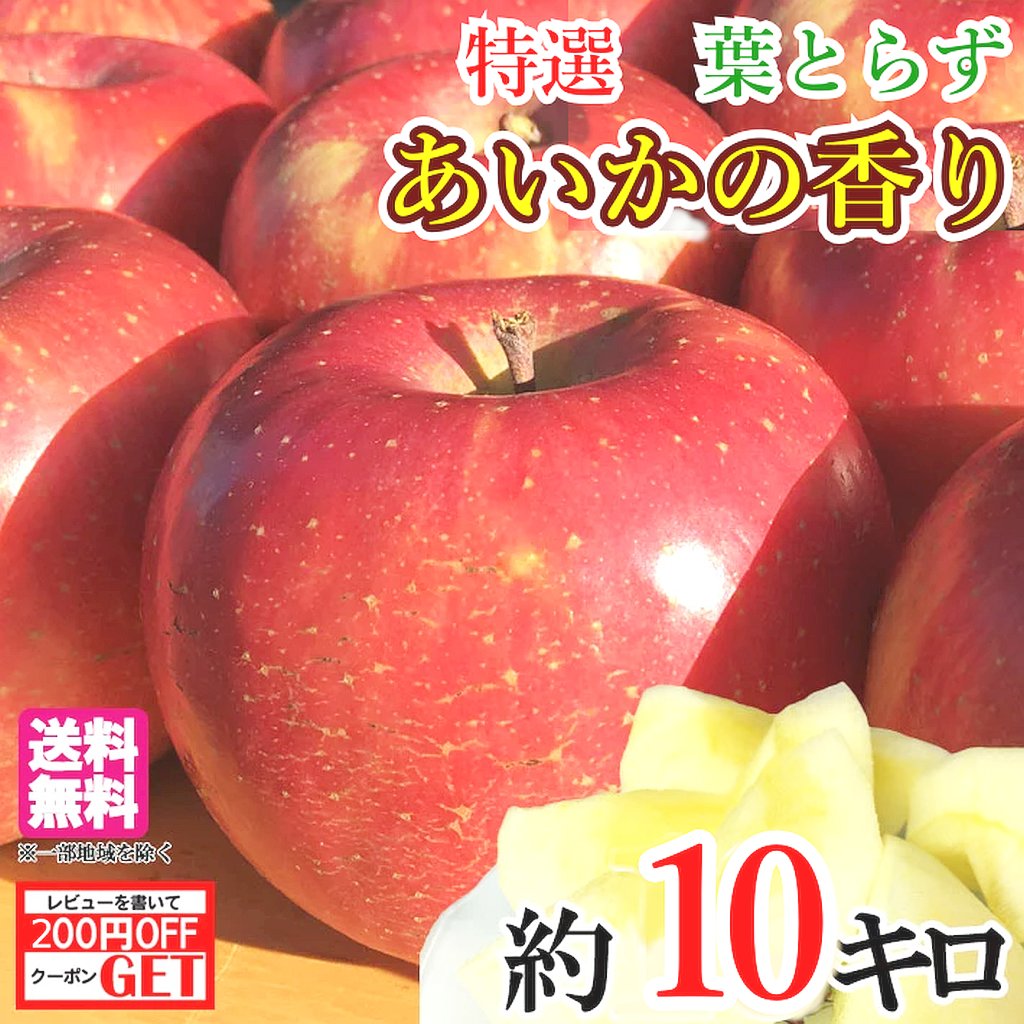 りんご 11月上旬〜中旬　特選 あいかの香り りんご 減農薬 10キロ