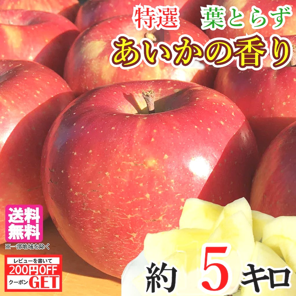 りんご 11月上旬〜中旬　特選 あいかの香り りんご 減農薬 5キロ