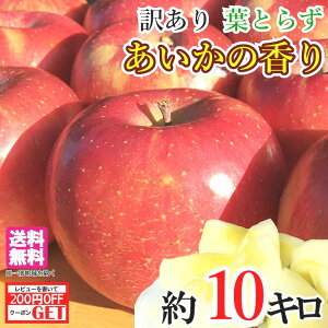 11月上旬〜中旬　あいかの香り 訳あり　りんご 減農薬 10キロ　レビューを書いたら200円クーポン