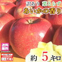 11月上旬~中旬 あいかの香り 訳あり りんご 減農薬 5キロ レビューを書いたら200円クーポン