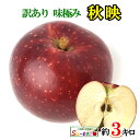 9月下旬〜10月上旬 秋映 訳あり 葉とらず りんご 減農薬 長野県産 3キロ レビューを書いたら200円クーポン