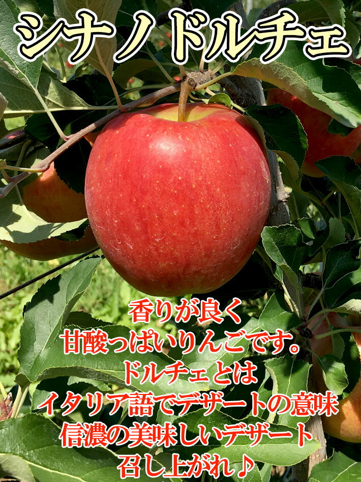 売れ筋ランキングも 9月上旬〜中旬 シナノドルチェ 訳あり 葉とらず りんご 減農薬 長野県産 10キロ レビューを書いたら200円クーポン 