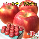 りんご 9月上旬〜中旬　シナノドルチェ　りんご 減農薬 長野県産10キロ　レビューを書いたら200円クーポン