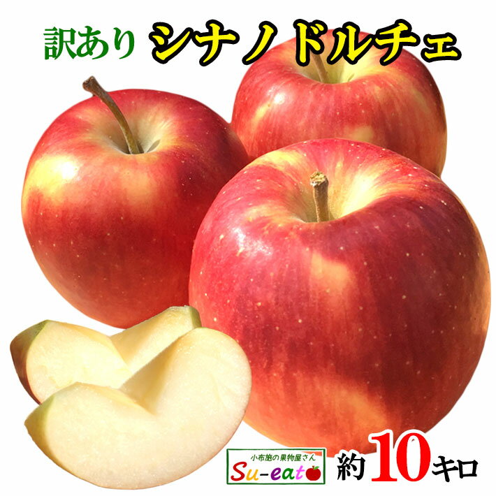 本日限定10%OFF 9月上旬〜中旬 シナノドルチェ 訳あり 葉とらず りんご 減農薬 長野県産 10キロ レビューを書いたら200円クーポン