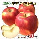 本日限定10%OFF 　9月上旬〜中旬　シナノドルチェ　訳あり 葉とらず りんご 減農薬 長野県産 10キロ　レビューを書いたら200円クーポン