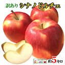 本日限定10 OFF 9月上旬〜中旬 シナノドルチェ 訳あり りんご 減農薬 長野県産 5キロ レビューを書いたら200円クーポン