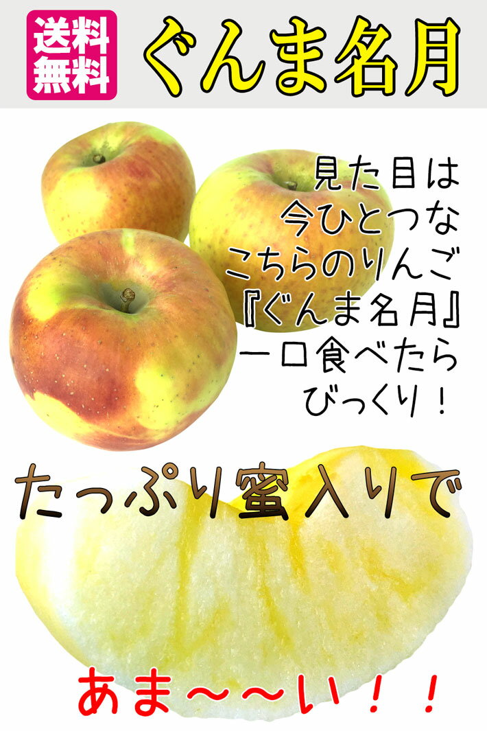 10月下旬　ぐんま名月　りんご 特選 減農薬 5キロ