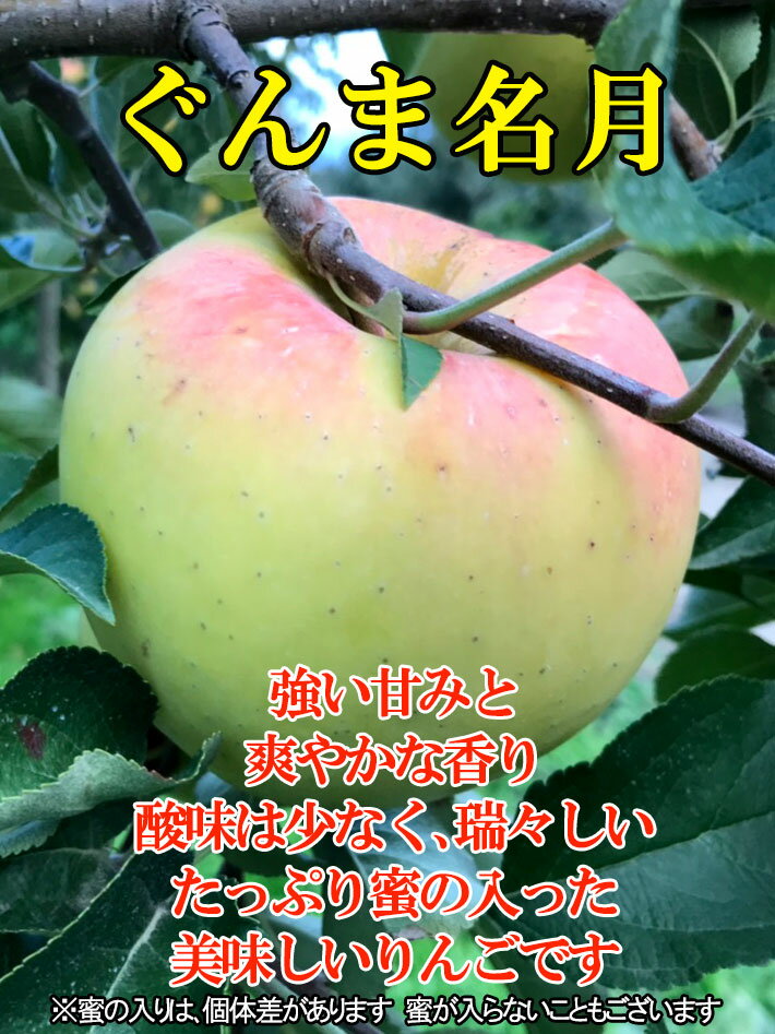 10月下旬　ぐんま名月　りんご 特選 減農薬 5キロ