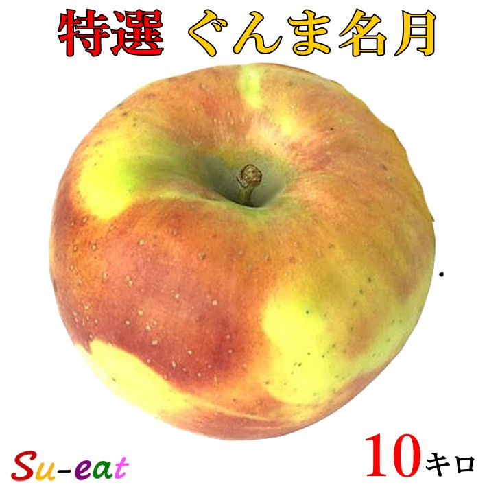 10月下旬 ぐんま名月 りんご 特選 減農薬 10キロ