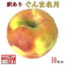 10月下旬〜11月中旬 ぐんま名月 りんご 訳あり 減農薬 10キロ
