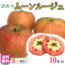 10月下旬~11月上旬 ムーンルージュ 訳あり 葉とらず りんご 減農薬 長野県産 10キロ レビューを書いたら200円クーポン