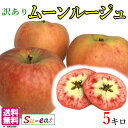10月下旬〜11月上旬 ムーンルージュ 訳あり りんご 減農薬 長野県産 5キロ レビューを書いたら200円クーポン