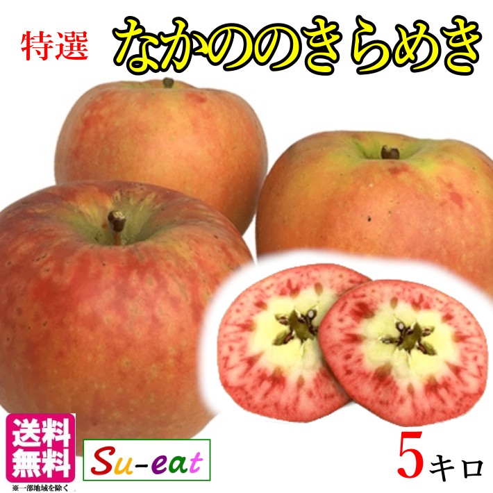 なかののきらめき 特選 葉とらず りんご 減農薬 長野県産 5キロ レビューを書いたら200円クーポンのサムネイル