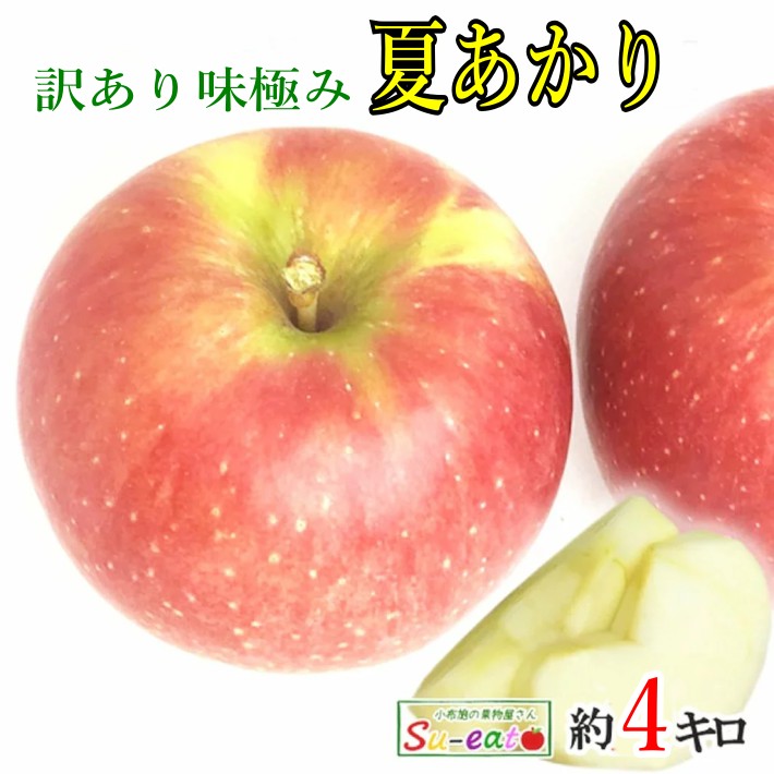 8月上旬〜中旬　小玉　夏あかり　訳あり りんご 4キロ　減農薬 長野県産　レビューを書いたら200円クーポン