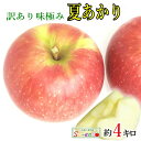 本日限定10%OFF 　8月上旬〜中旬　小玉夏あかり訳あり　葉とらず りんご 訳あり　減農薬 長野県産 4キロ　レビューを書いたら200円クー..