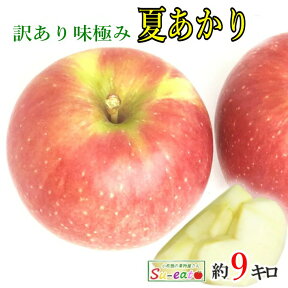 8月上旬〜中旬　小玉　夏あかり　訳あり　りんご 減農薬 長野県産　9キロ　レビューを書いたら200円クーポン