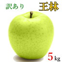 10月中旬~下旬 王林 訳あり りんご 減農薬 長野県産 5キロ レビューを書いたら200円クーポン