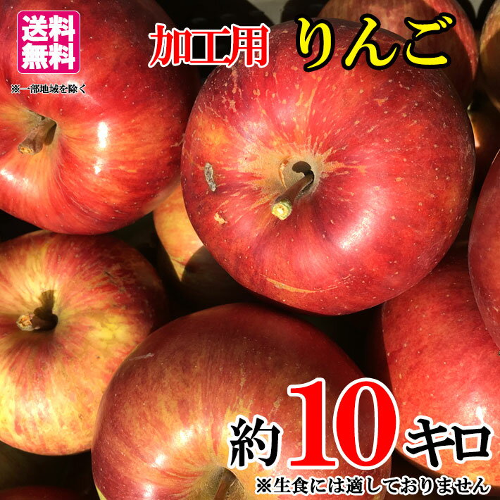 本日限定10%OFF 8月中旬〜下旬 加工用 りんご 減農薬 長野県産 約10キロ レビューを書いたら200円クーポン