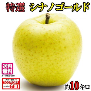 10月中旬〜下旬　特選 シナノゴールド　りんご　 減農薬 長野 10キロ　レビューを書いたら200円クーポン