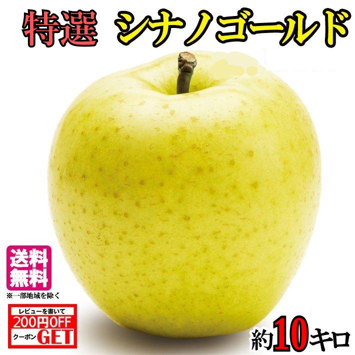 ̵դȤ餺̣ˤߤ󤴥ʥΥɸ10