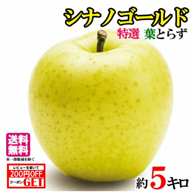 りんご 10月中旬〜下旬　特選 シナノゴールド りんご　減農薬 長野県産　5キロ　レビューを書いたら200円クーポン