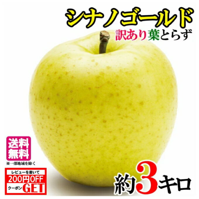 10月中旬〜下旬　シナノゴールド　訳あり 減農薬 長野県産 3キロ　レビューを書いたら200円クーポン