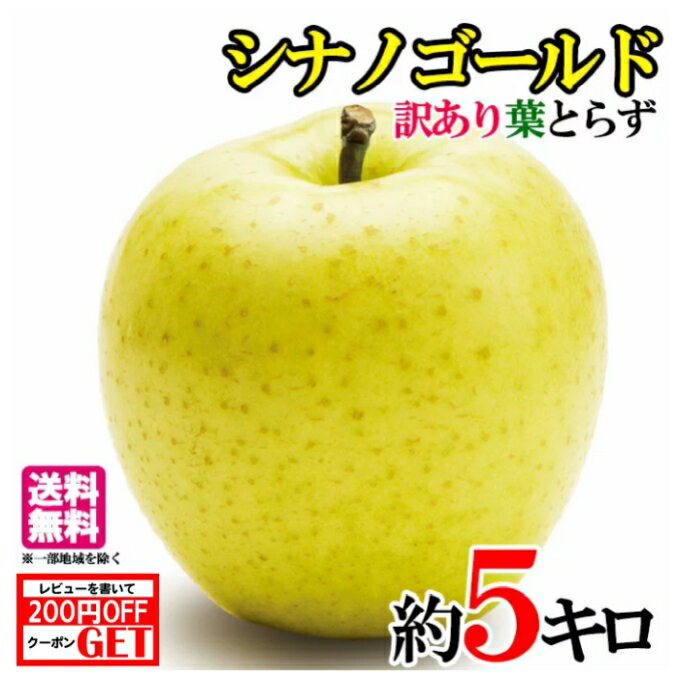 10月中旬〜下旬　シナノゴールド　りんご　訳あり　減農薬 長野県産　5キロ　レビューを書いたら200円クーポン