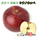 10月下旬〜11月上旬 シナノホッペ 訳あり りんご 減農薬 長野県産 10キロ レビューを書いたら200円クーポン