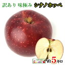 10月下旬 シナノホッペ 訳あり りんご 減農薬 長野県産 5キロ レビューを書いたら200円クーポン