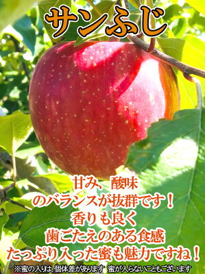 長野りんご