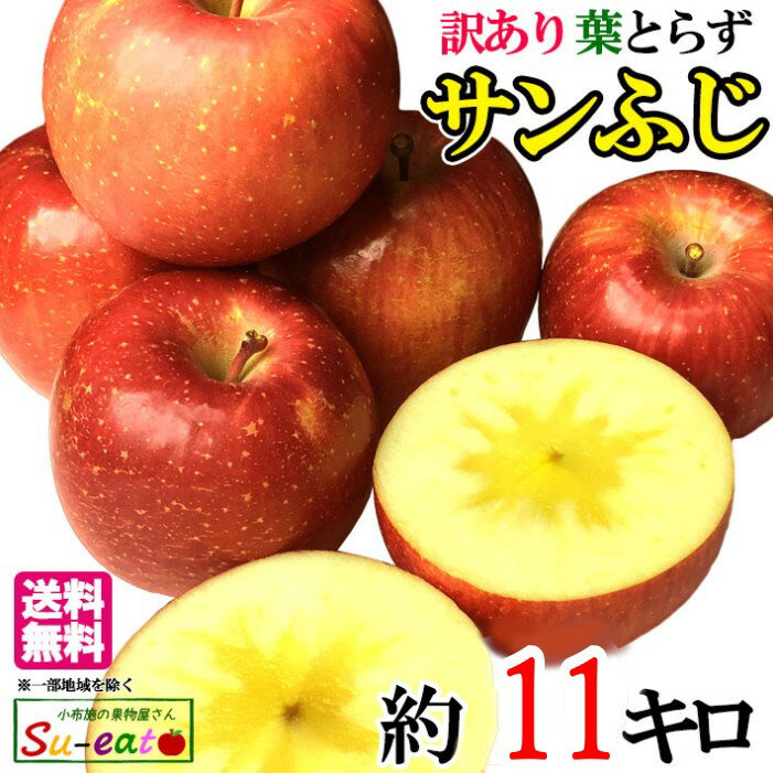 11月中旬〜下旬　サンふじ　訳あり りんご 減農薬 長野県産　11キロ　レビューを書いたら200円クーポン