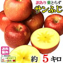 11月中旬〜下旬 サンふじ 訳あり りんご 減農薬 長野県産 5キロ レビューを書いたら200円クーポン