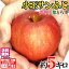 小玉サンふじ　訳あり 葉とらず 味極み りんご 減農薬 長野県産 5キロ