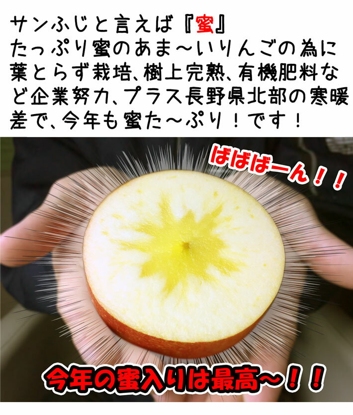 あす楽　サンふじ　訳あり りんご 減農薬 長野産 約12キロ　レビューを書いたら200円クーポン