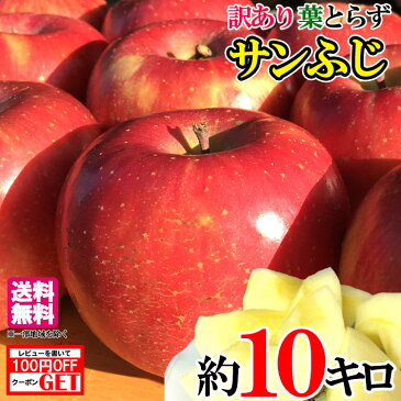 送料無料 家庭用 サンふじ りんご 減農薬 長野産 約10キロ