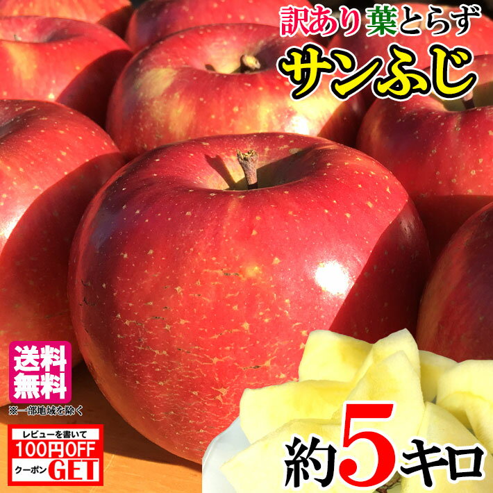 送料無料 長野産 サンふじ りんご 家庭用 減農薬 約5キロ