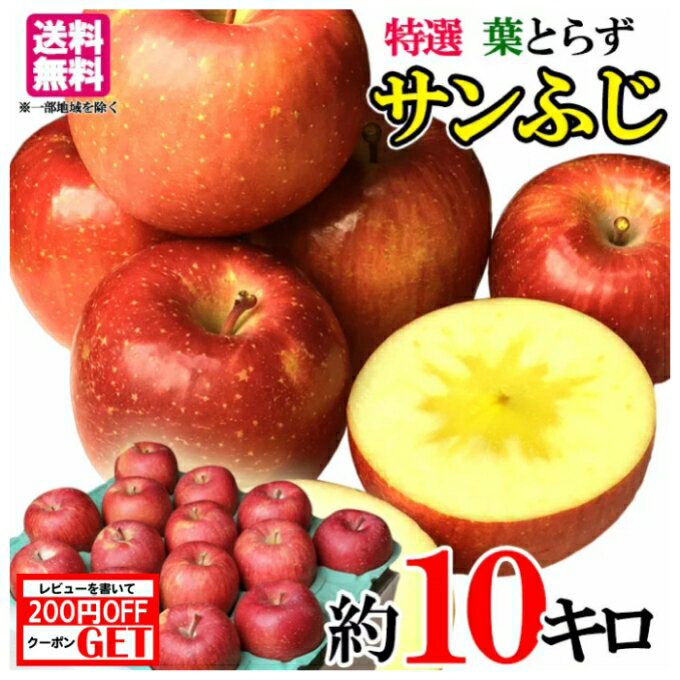 りんご 12月 特選 サンふじ りんご　減農薬 長野県産　10キロ