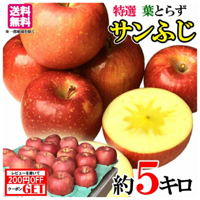 りんご 12月 特選 サンふじ　葉とらず りんご 減農薬 長野県産 5キロ　レビューを書いたら200円クーポン