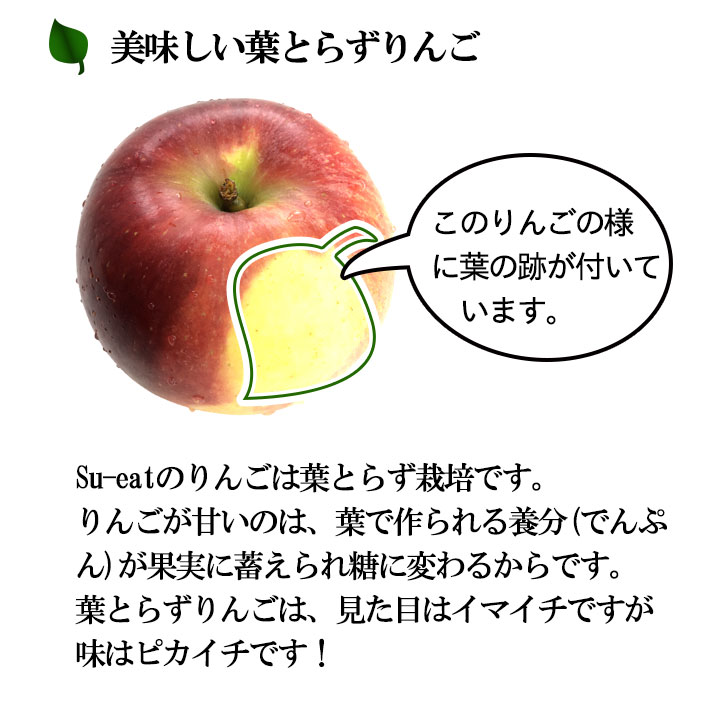 9月上旬〜中旬　シナノドルチェ　訳あり りんご 減農薬 長野県産　3キロ　レビューを書いたら200円クーポン