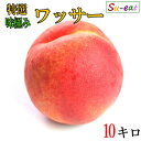 8月上旬〜中旬 特選 ワッサー 桃 減農薬 長野県産 10キロ レビューを書いたら200円クーポン