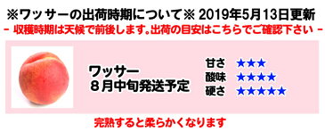 【ご予約受付中】 訳あり ワッサー 桃 減農薬 長野県産 朝獲れ 鮮度抜群 5キロ