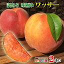 7月下旬〜8月上旬　ワッサー 桃 訳あり　減農薬 長野県産 2キロ　レビューを書いたら200円クーポン