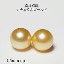 南洋真珠 ナチュラルゴールド ピアス セミラウンド11.5mm up イヤリングにも変更可 K18 金色 スタッド シンプル 大きめ 大ぶり ギフト プレゼント...