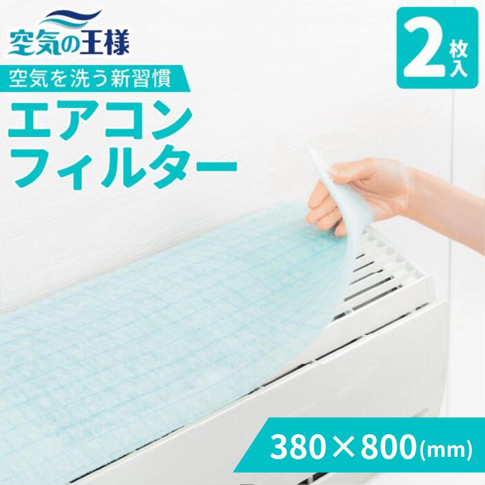 抗菌 ウイルス エアコン フィルター 2枚入 380 × 800 mm 家庭用 抗ウイルス 抗カビ 消臭 高機能 クリーンフィルター エアコン用フィルター 貼るだけ 節電 防汚 花粉 花粉症 花粉対策 アレルギー対策 ほこり 集塵 ホコリ 対策 強力粘着 日本製 空気の王様