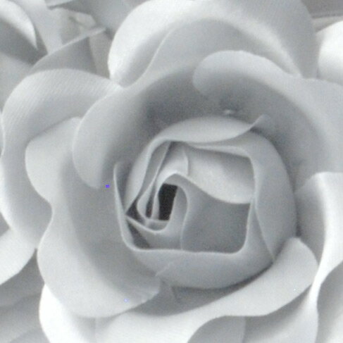 リボン付バラ風デザインのブローチ（ライトグレー）：R648（ケース入り）【メール便不可・宅配便】 レディース 婦人 礼服用 喪服用 フォーマル アクセサリー 女性用 冠婚葬祭 慶事 2