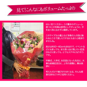 感激ボリュームアップおまかせアレンジ